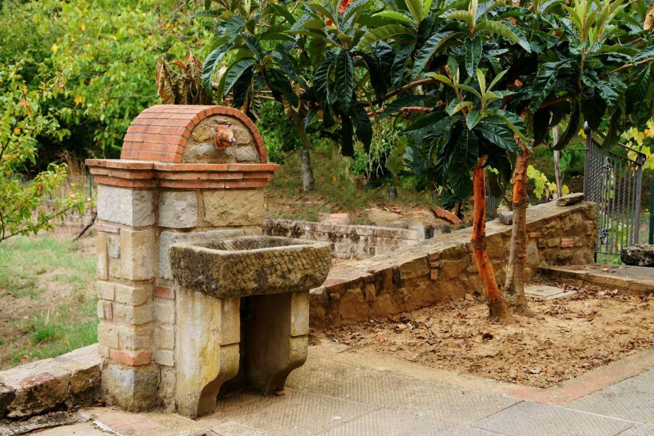 Podere Del Griccia Civitella in Val di Chiana Exterior foto